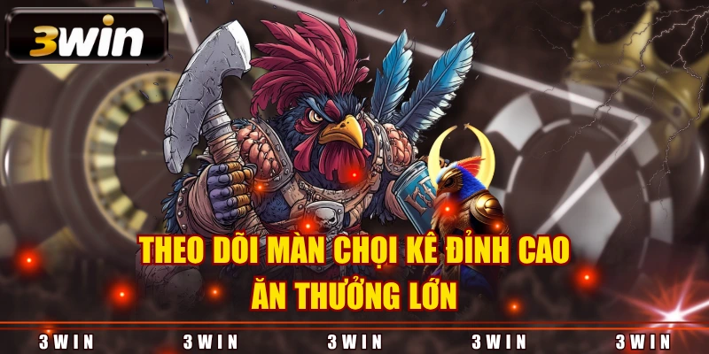 Theo dõi màn chọi kê đỉnh cao, ăn thưởng lớn