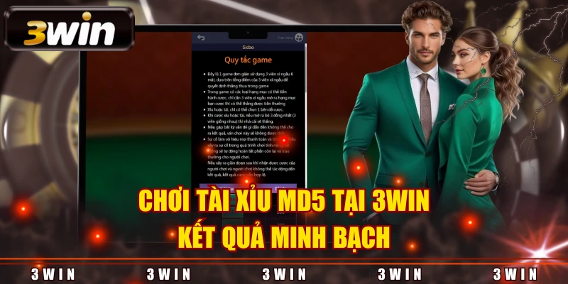 Chơi Tài Xỉu MD5 tại 3WIN kết quả minh bạch